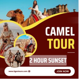 Cappadocia Camel Safari 2 Hour Sunset